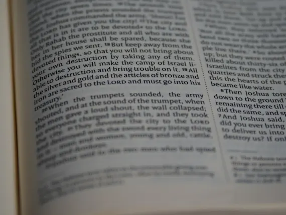 탑탤리 카지노 지원